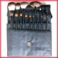 Cosmetic Brushes